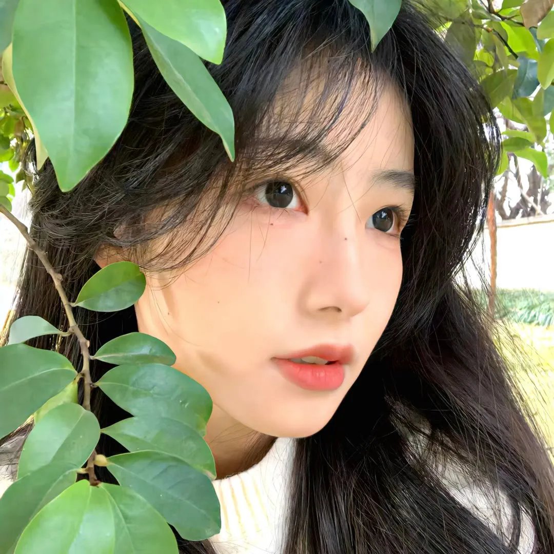 我主沉浮